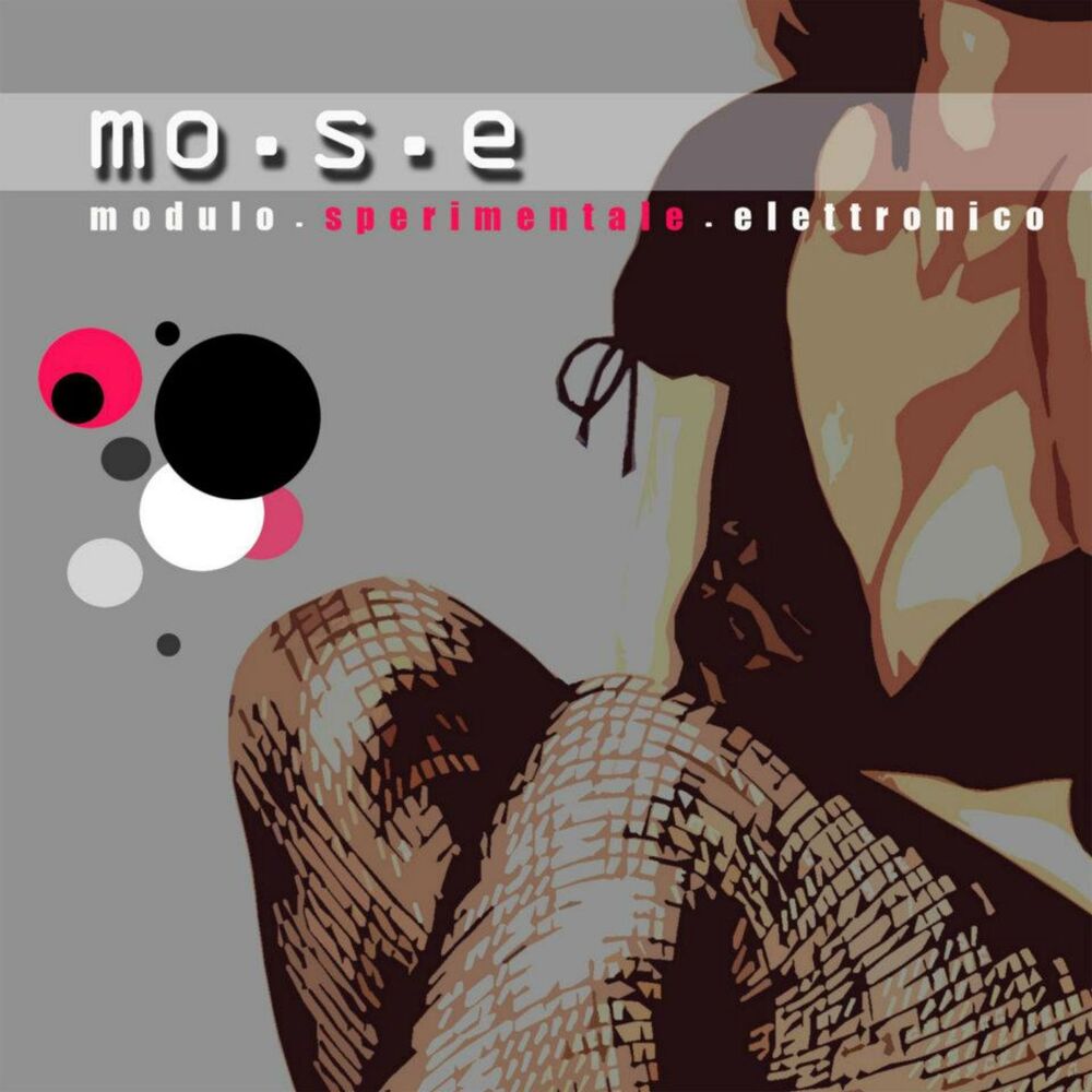 Picture of Mo.S.E (Modulo sperimentale elettronico)