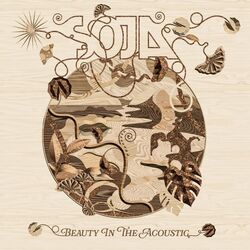 Cover of Beauty In The Acoustic