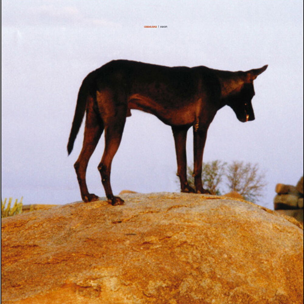 Picture of Grounded