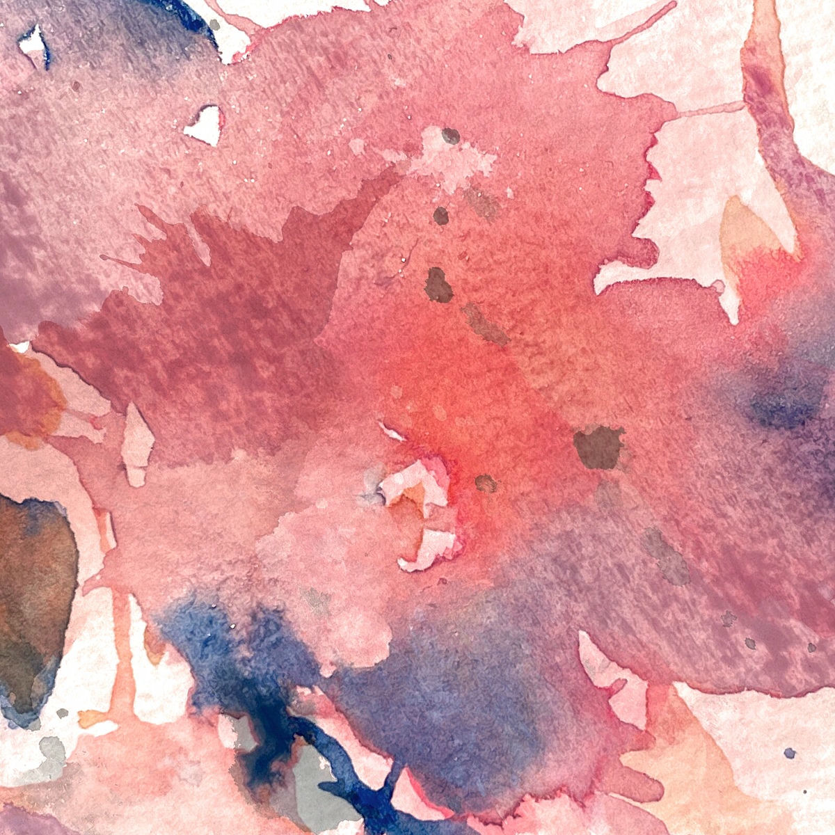 Album cover of Beauté