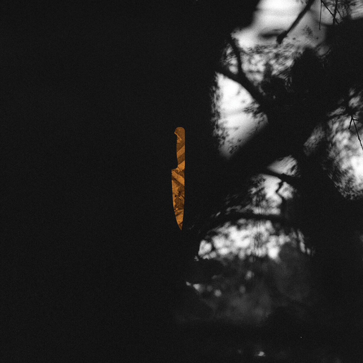 Album cover of Enemies Multiply