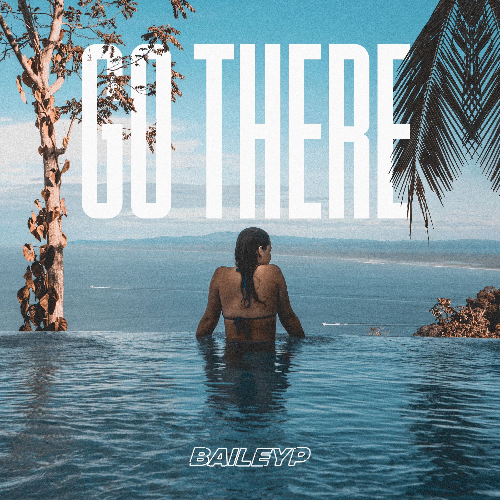 Album cover of Go There