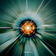 Supernova by Goontha album cover