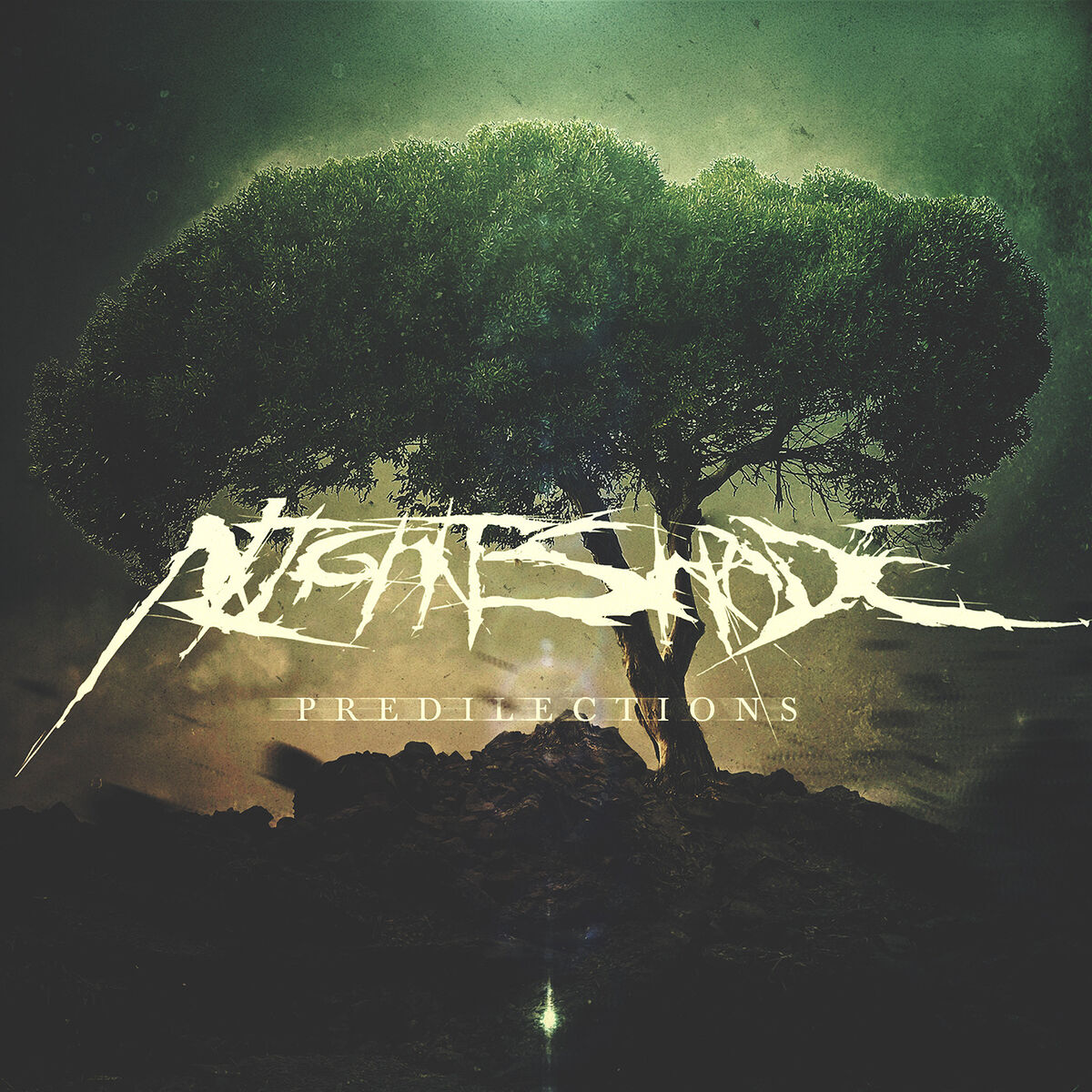 Album cover of Predilections