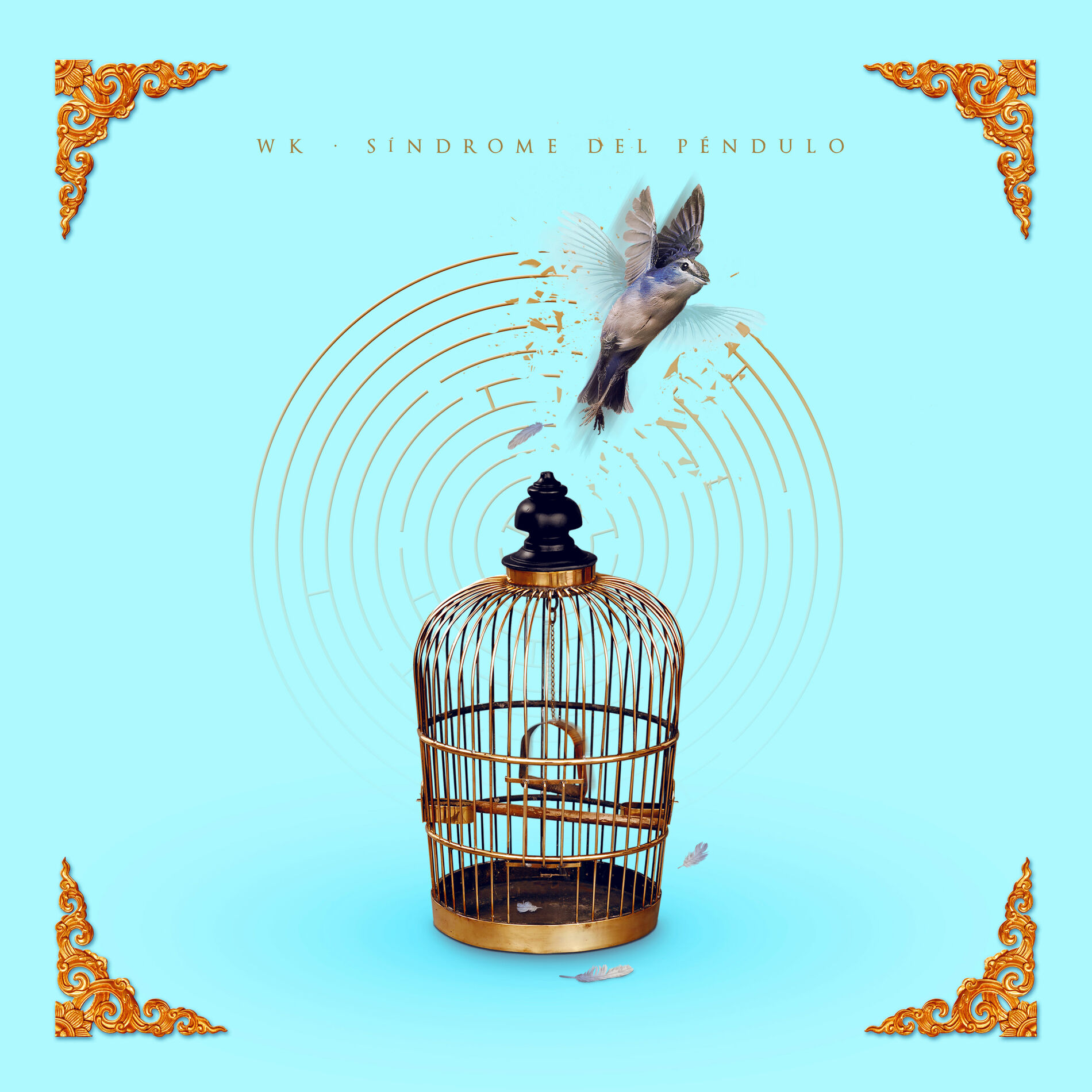Album cover of Siempre Quise Más