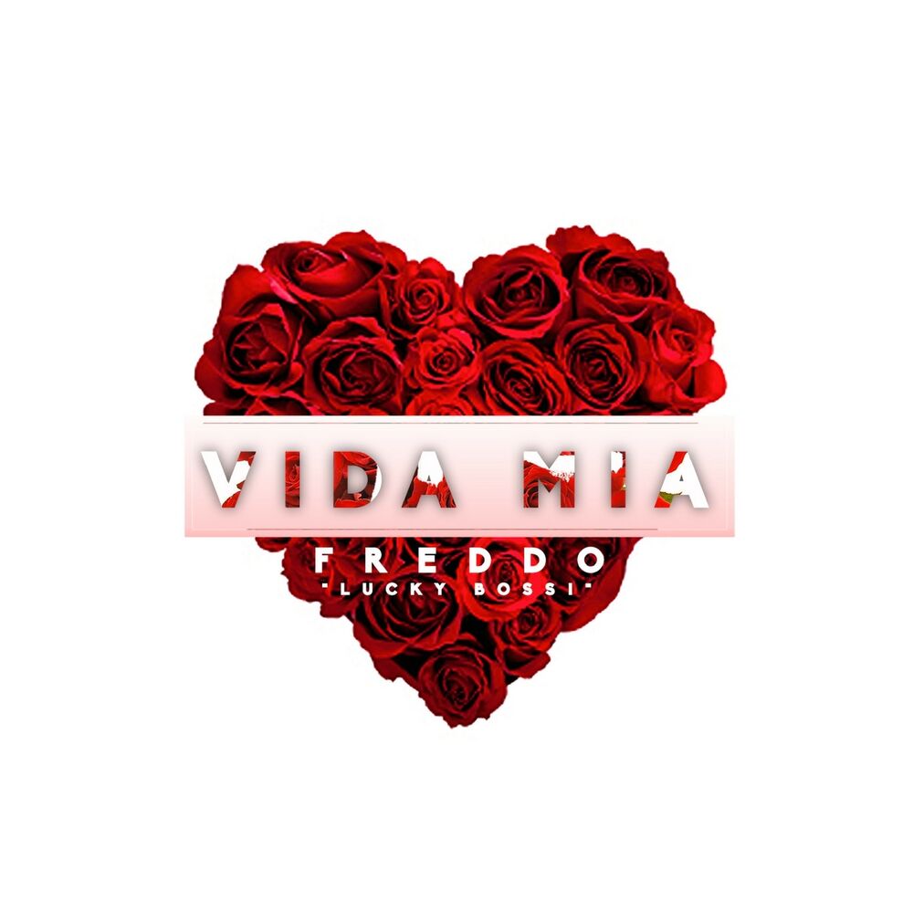 Picture of Vida Mia