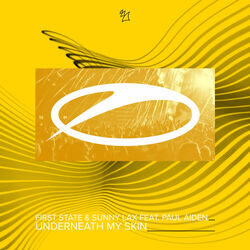 Cover of Underneath My Skin