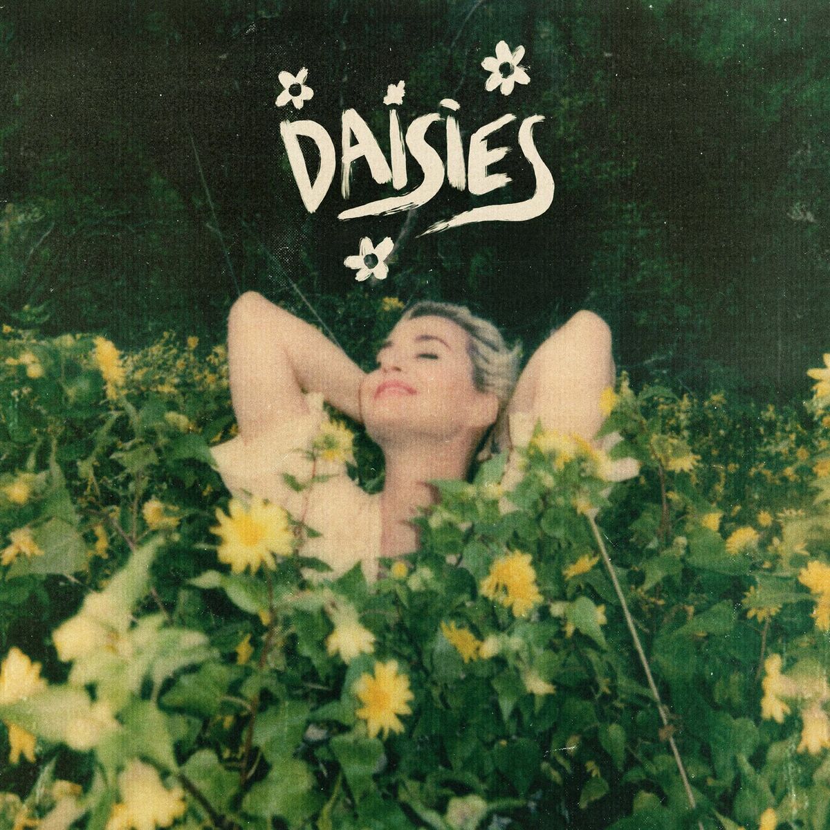 Album cover of Daisies