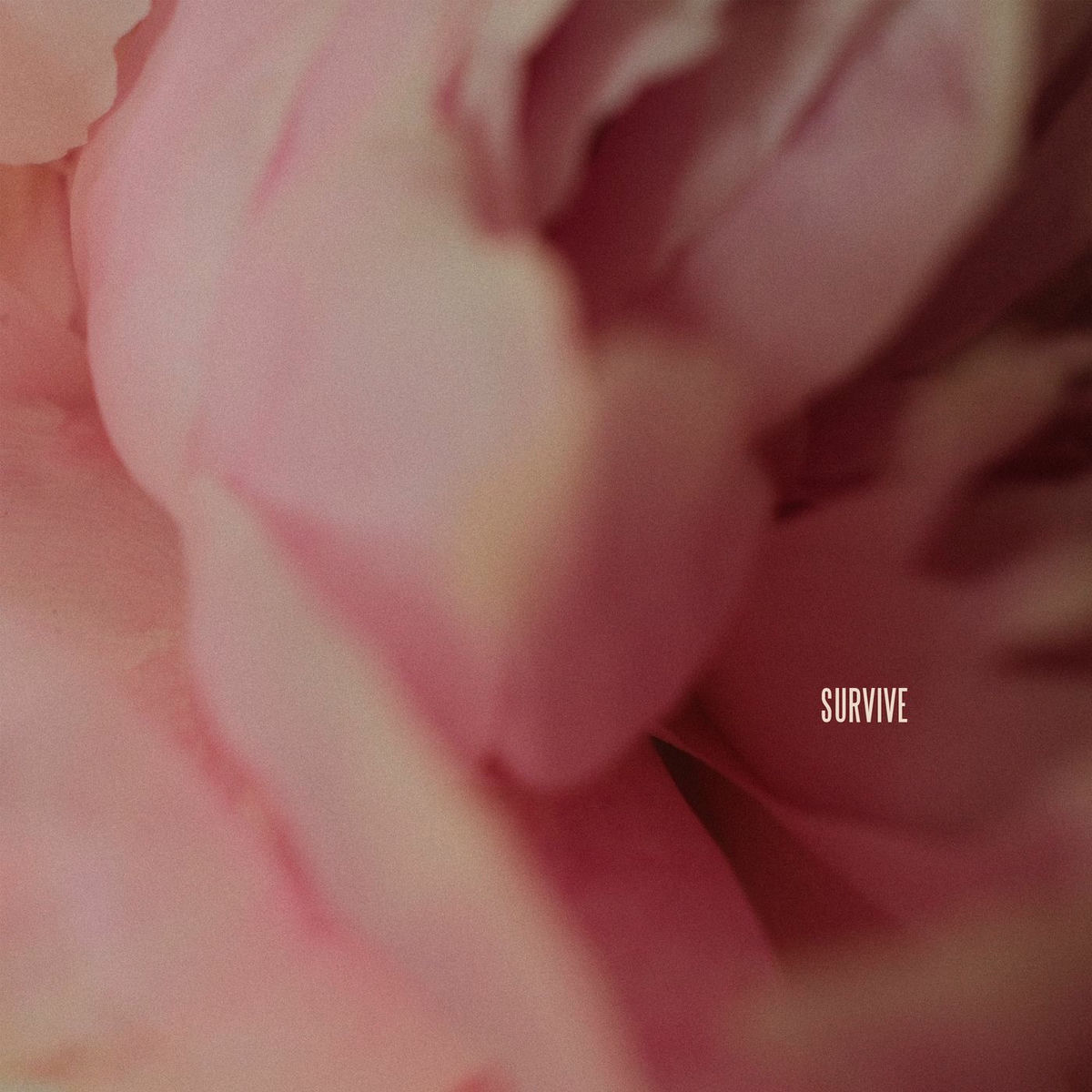 Album cover of Survive