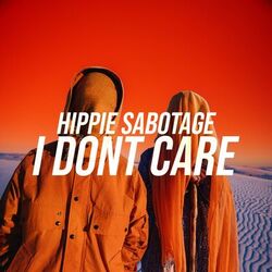 Cover of I Dont Care