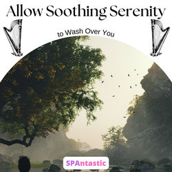 Cover of Allow Soothing Serenity to Wash over You by undefined