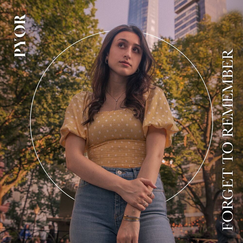Picture of Forget to Remember