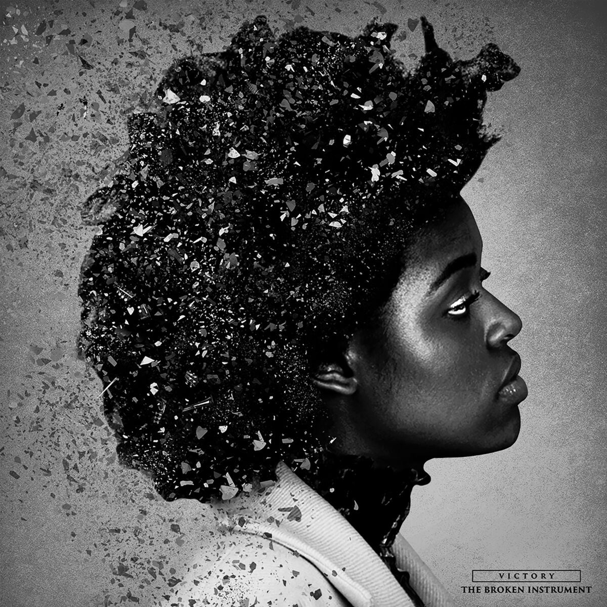 Album cover of The Broken Instrument