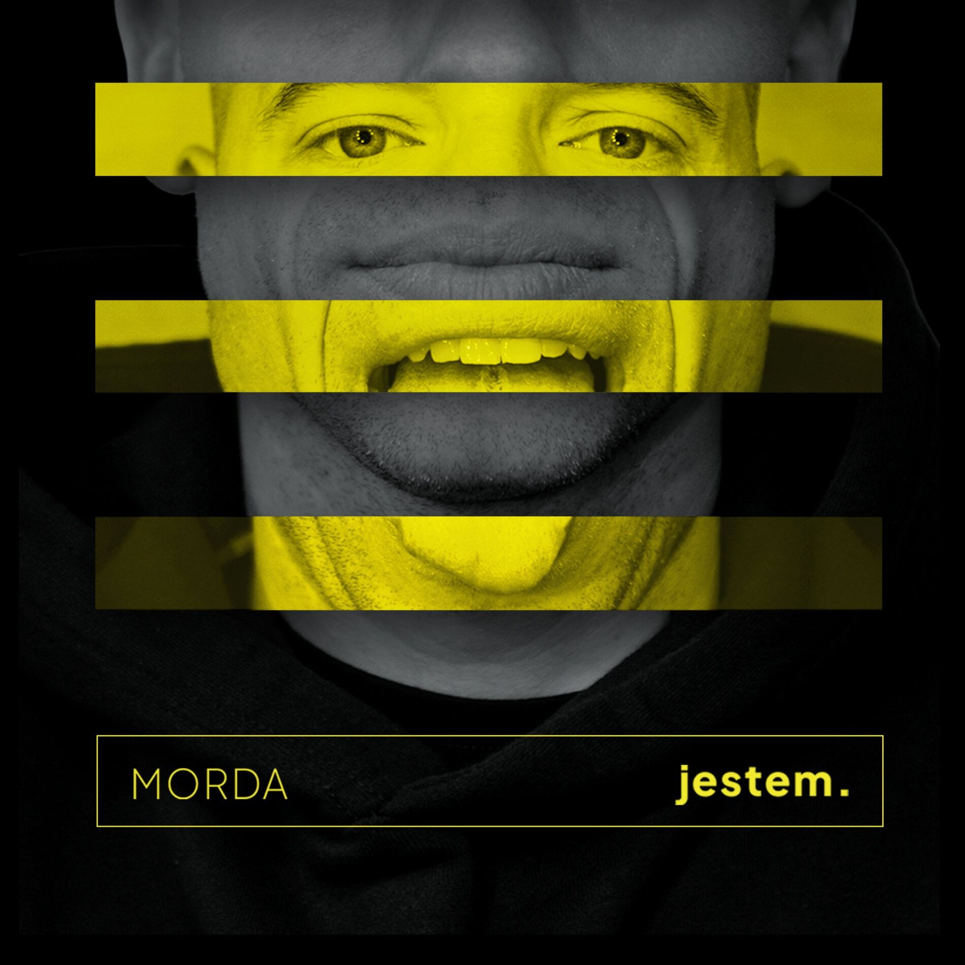 Album cover of jestem.