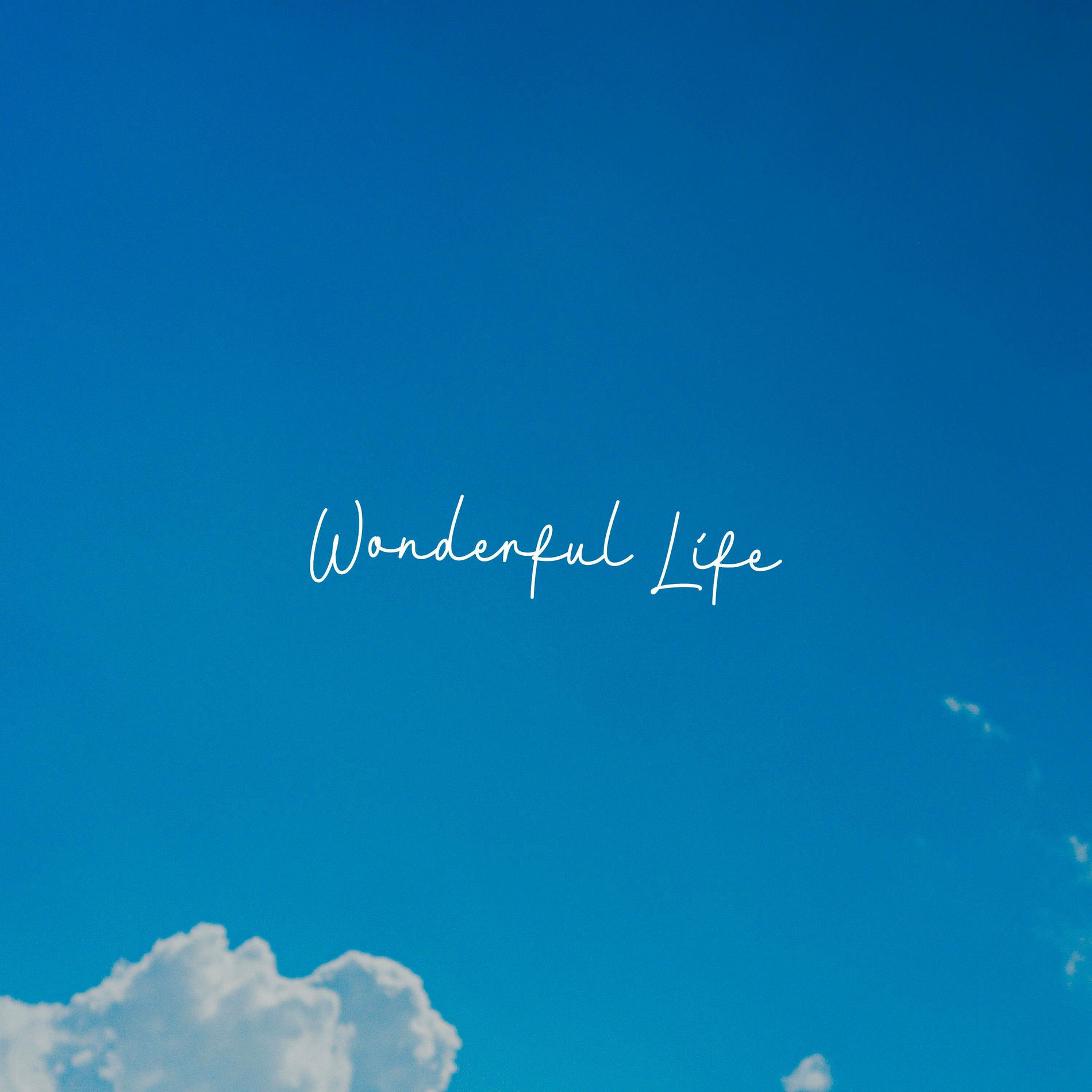 Album cover of Wonderful Life (feat. John Skyfield)