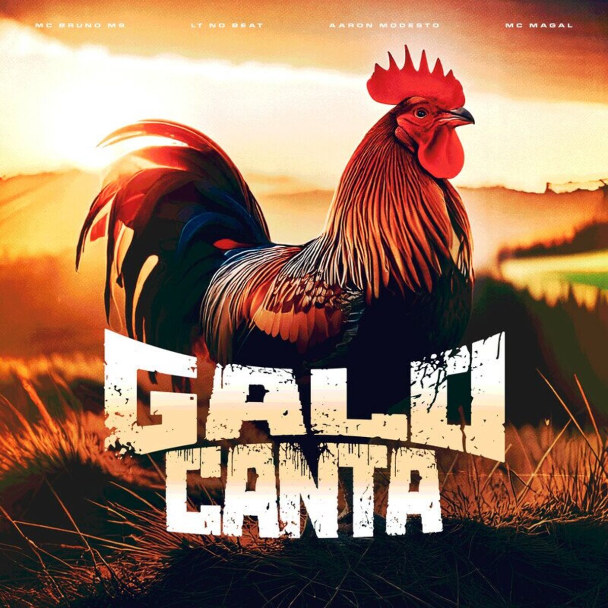 Album cover of Galo Canta