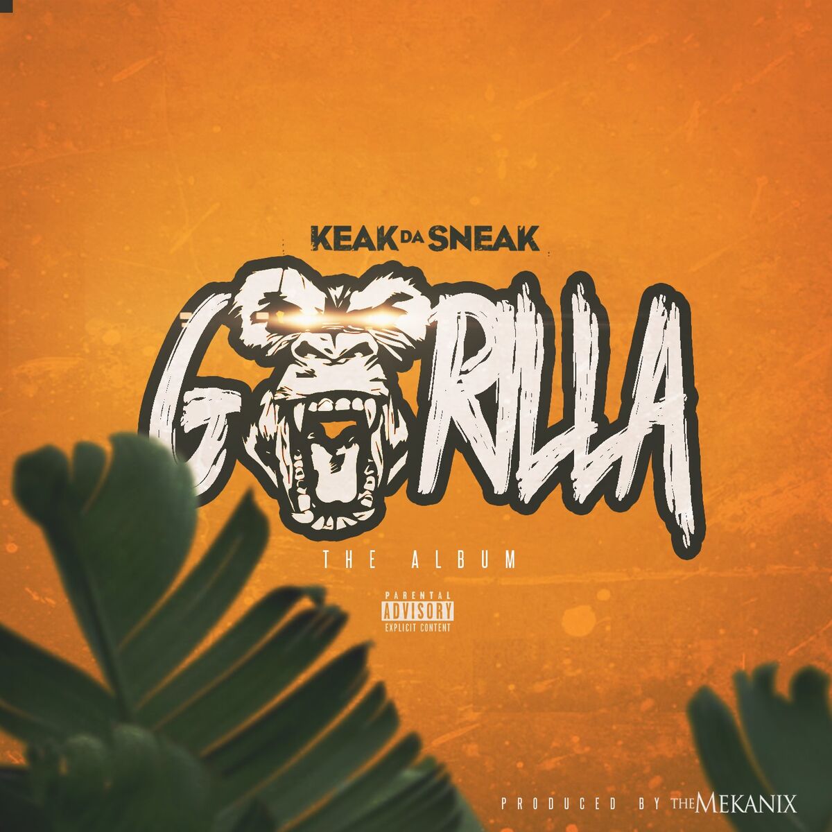 Album cover of Gorilla