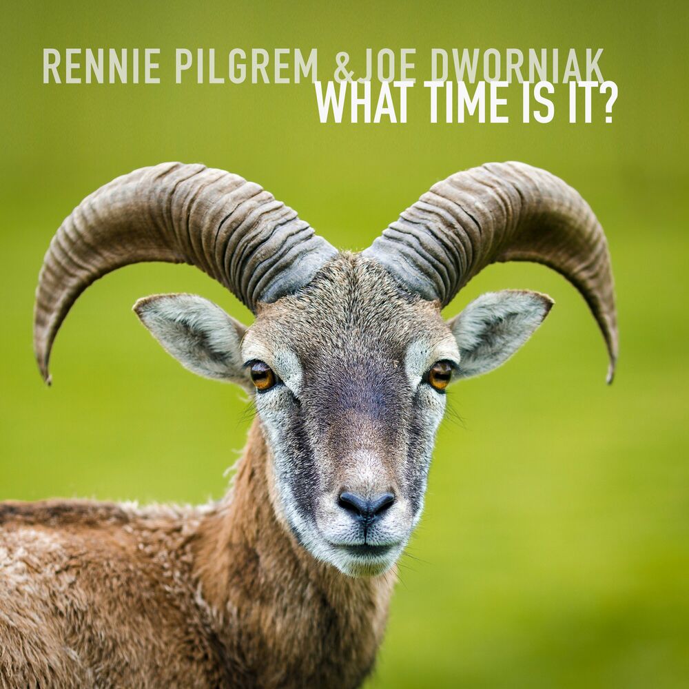 Picture of What Time Is It?