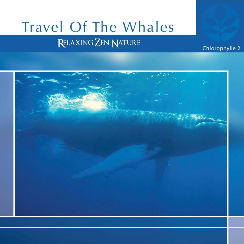 Picture of Chlorophylle II Travel of the Whales (Relaxing Zen Nature)