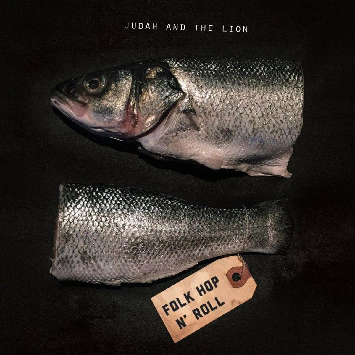 Album cover of Folk Hop n' Roll
