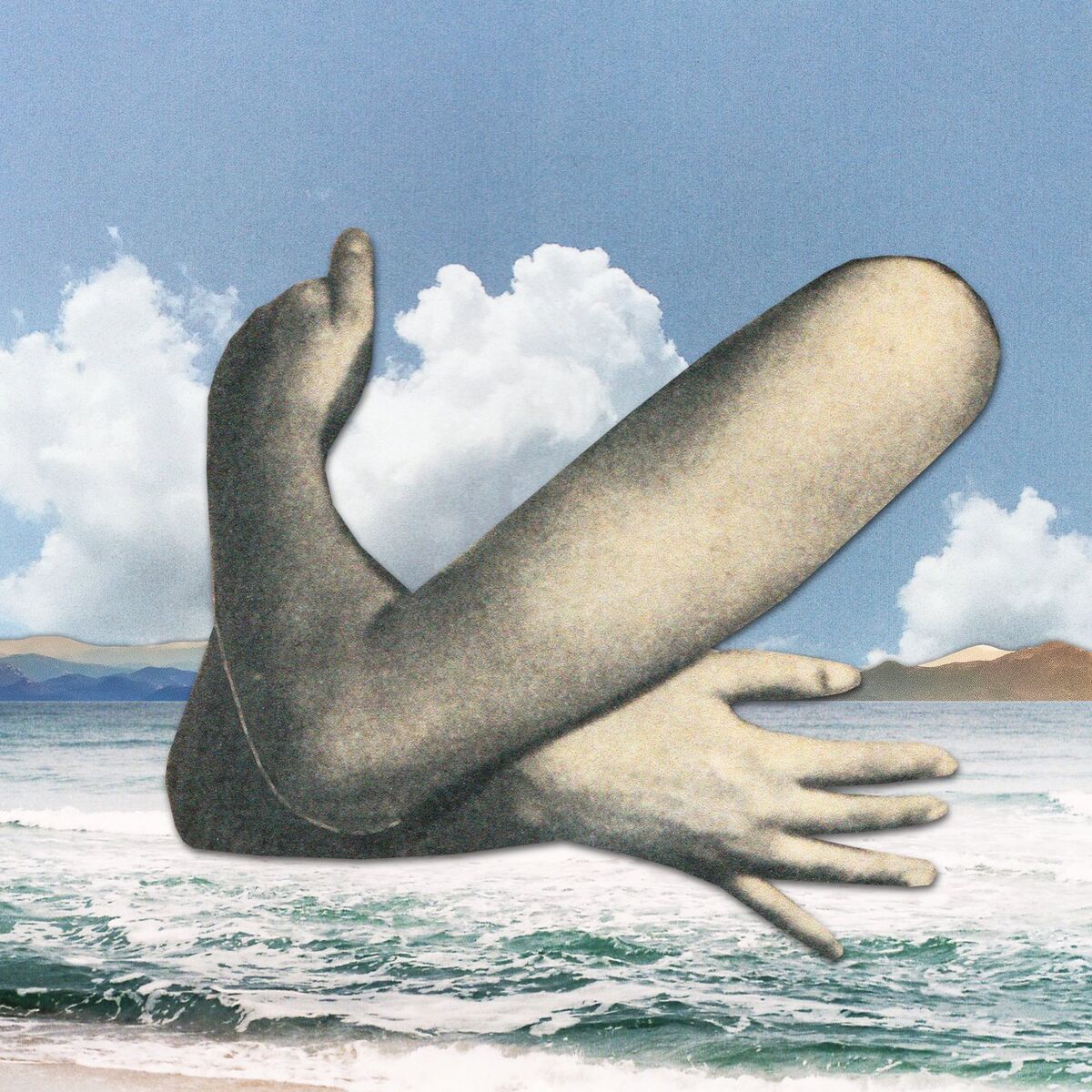 Album cover of Burning Palms