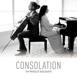 Cover of Consolation
