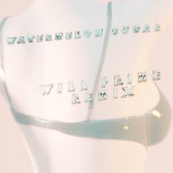 Cover of Watermelon Sugar