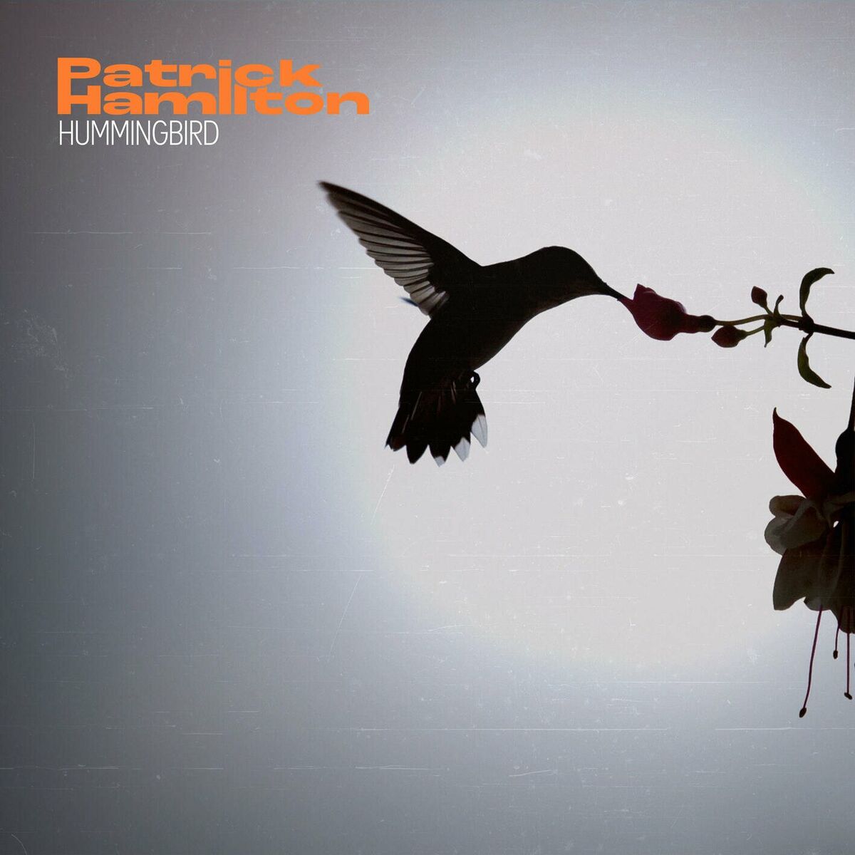 Album cover of Hummingbird