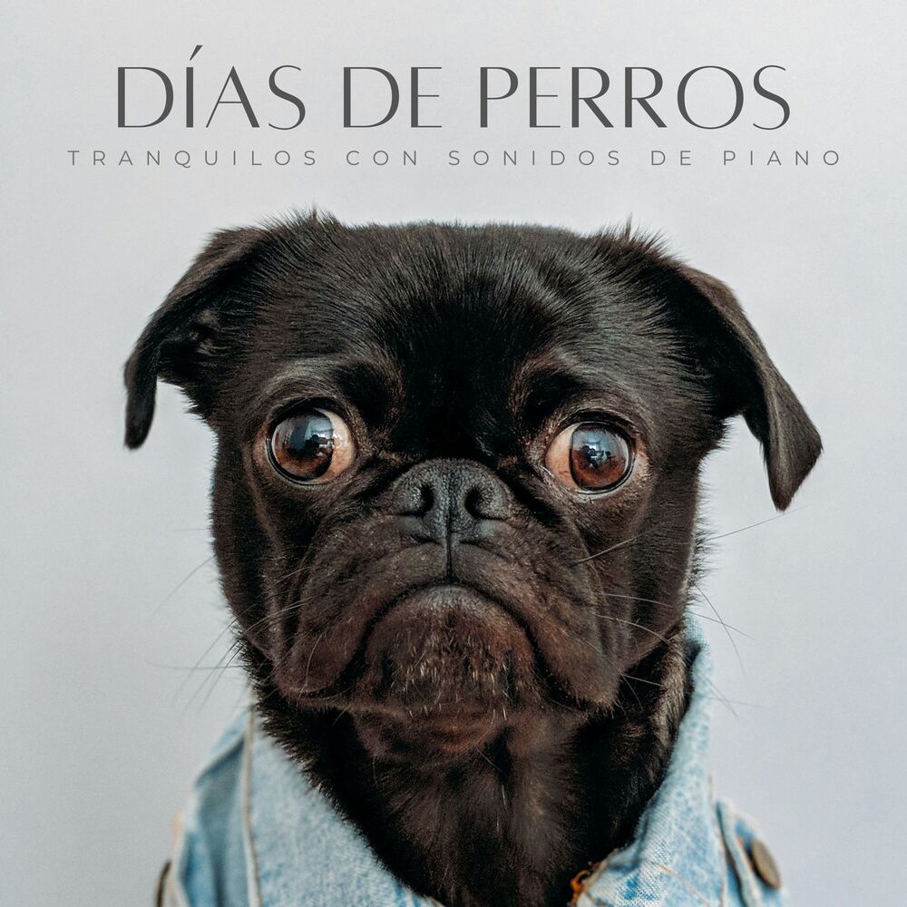 Picture of Días De Perros Tranquilos Con Sonidos De Piano