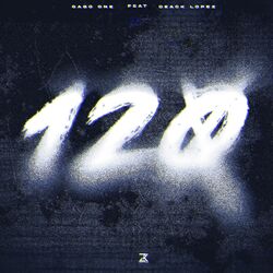 Cover of 120