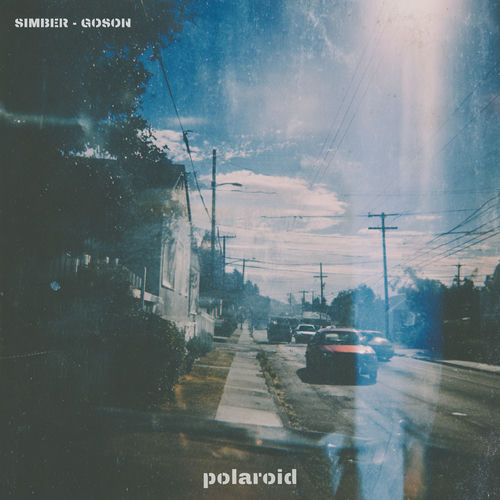 Polaroid