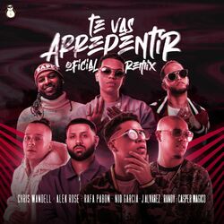 Cover of Te Vas Arrepentir (Remix)