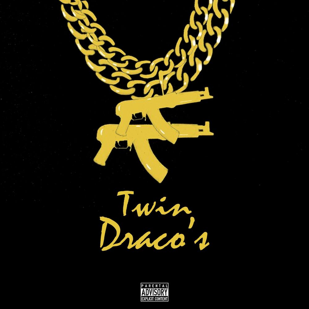 Picture of Twin Dracos