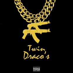 Cover of Twin Dracos