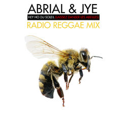 Hey Ho Du Soleil (Laissez Danser Les Abeilles) (dub remix)