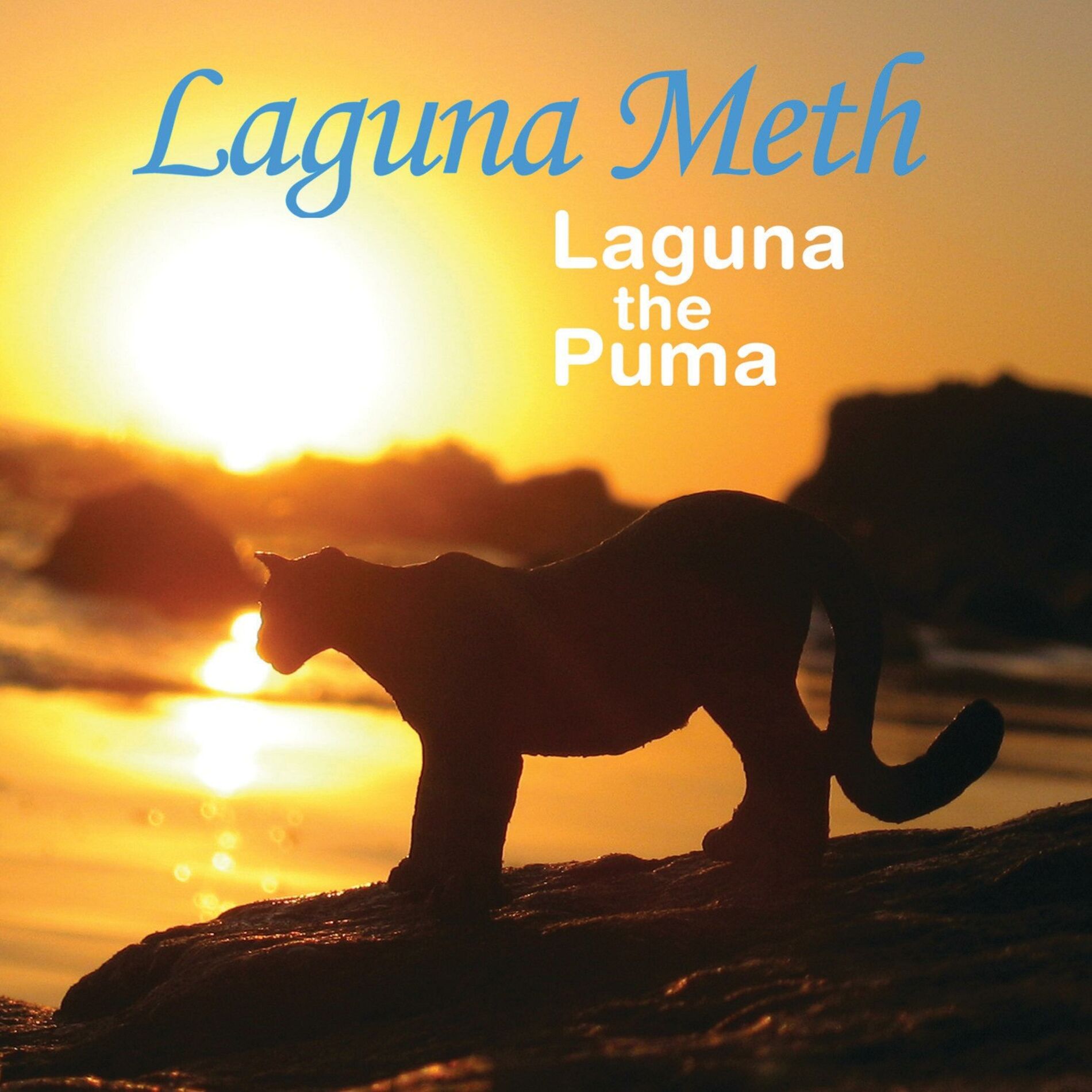Album cover of Laguna The Puma