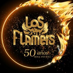 Cover of 50 AÑOS (ROCK AND ROLL)