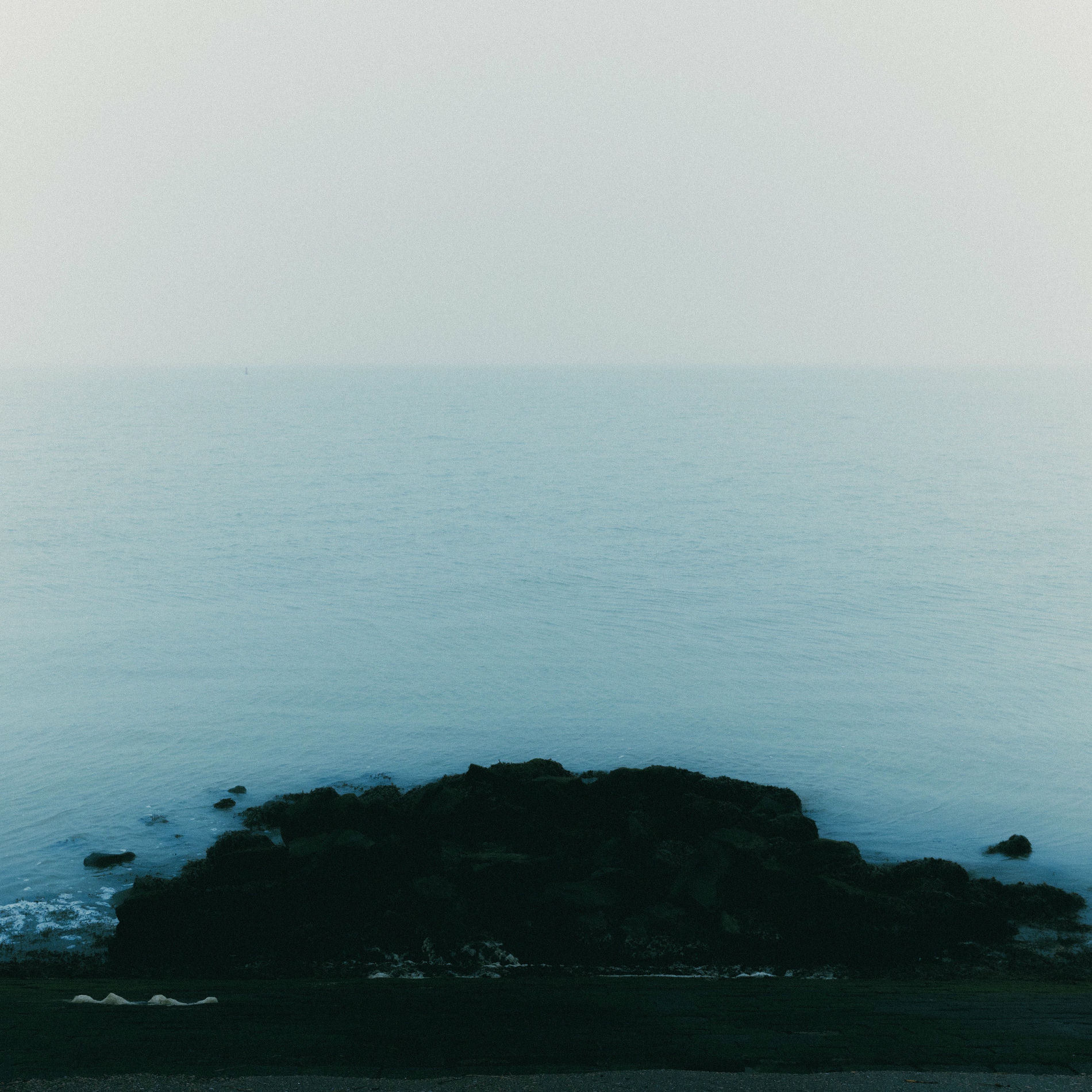 Album cover of neptune