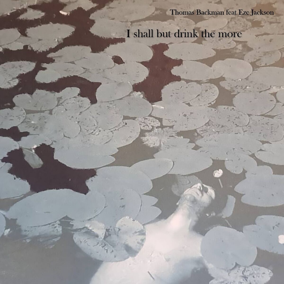 Album cover of I Shall But Drink The More