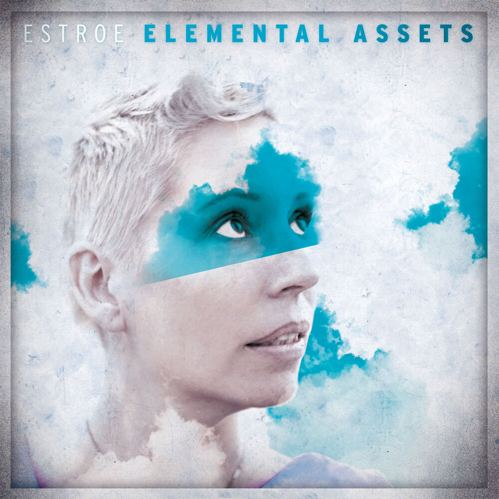 Picture of Elemental Assets