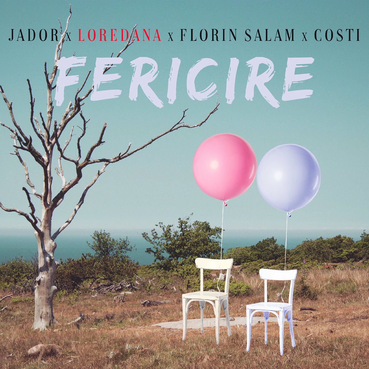 Album cover of Fericire