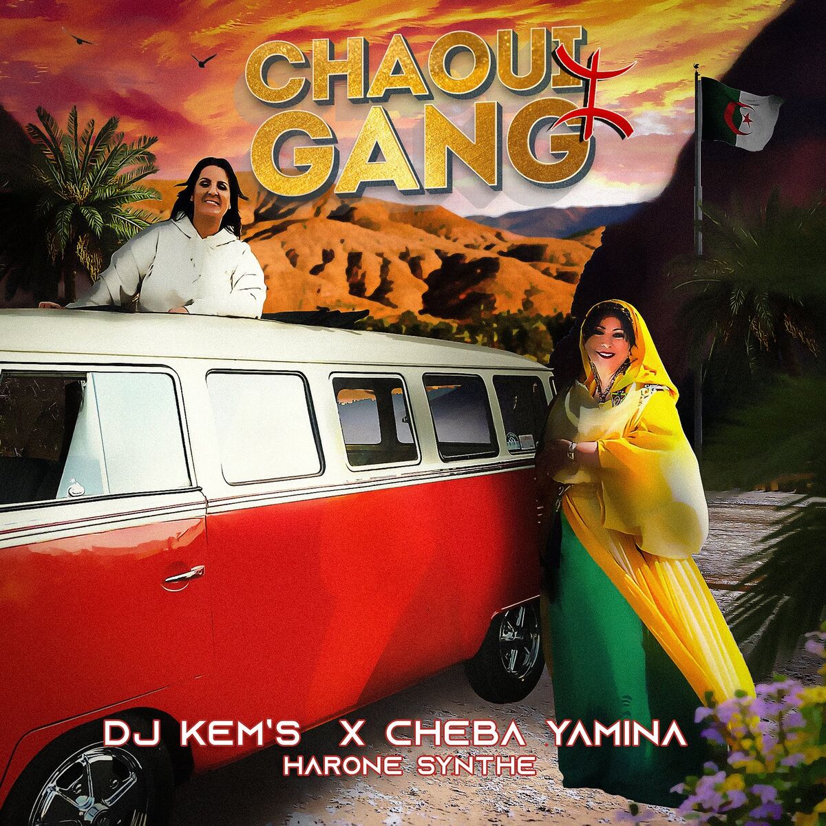Album cover of Chaoui Gang
