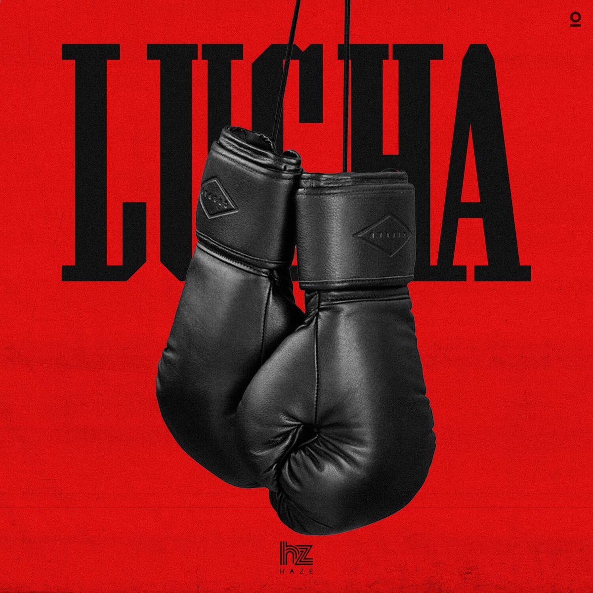 Album cover of Lucha