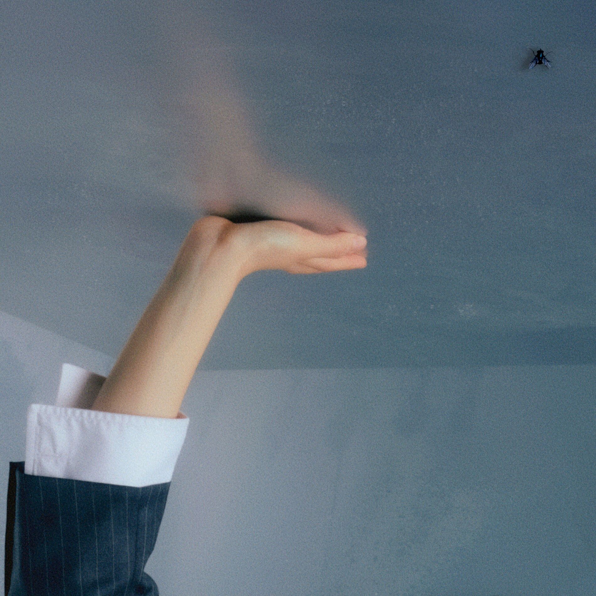 Album cover of 21st Century Cool Girl