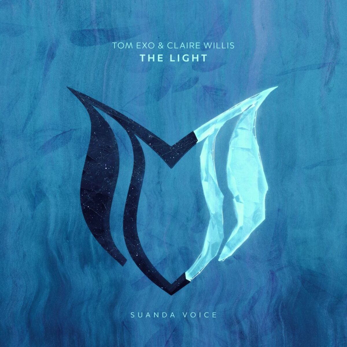 Album cover of The Light