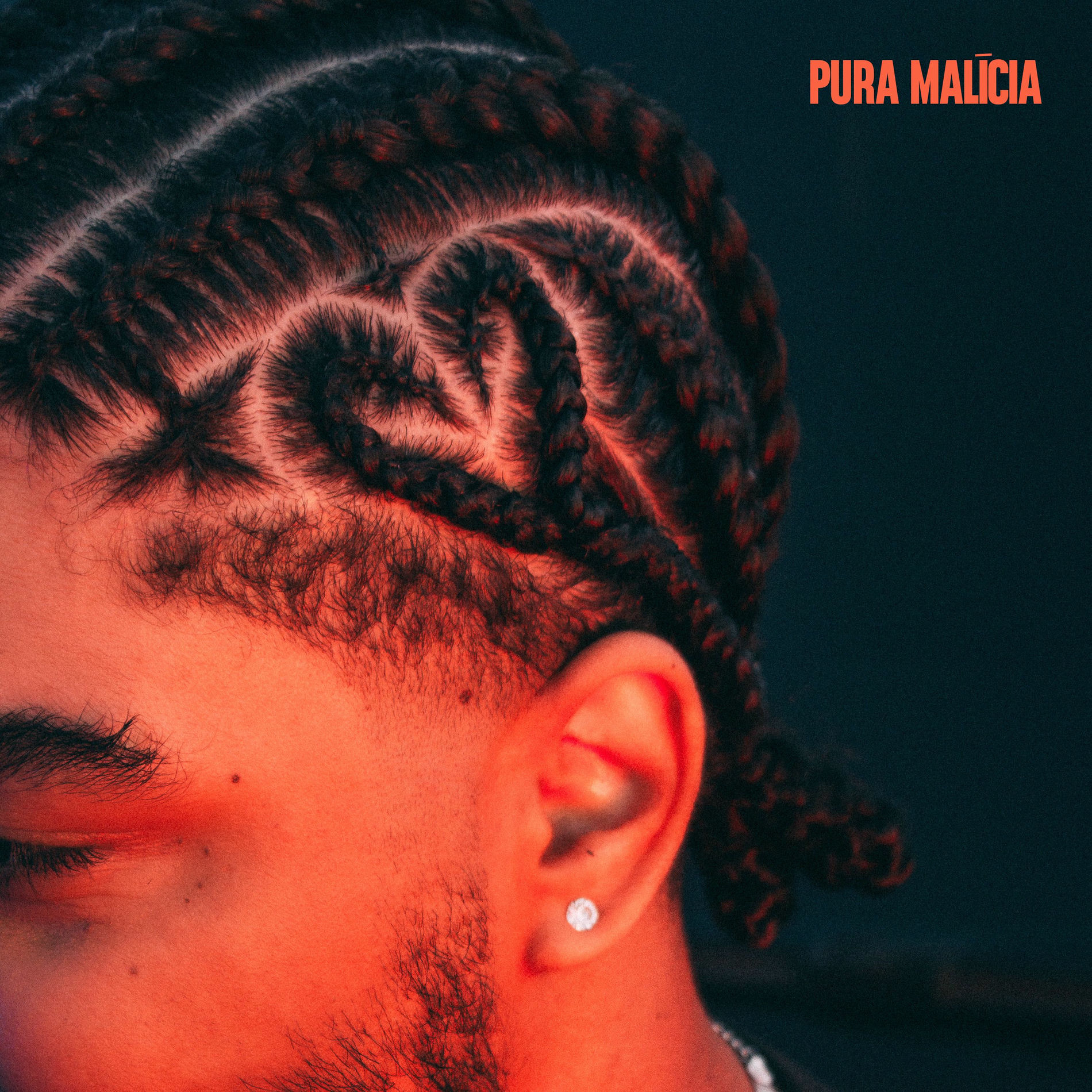 Album cover of Pura Malícia