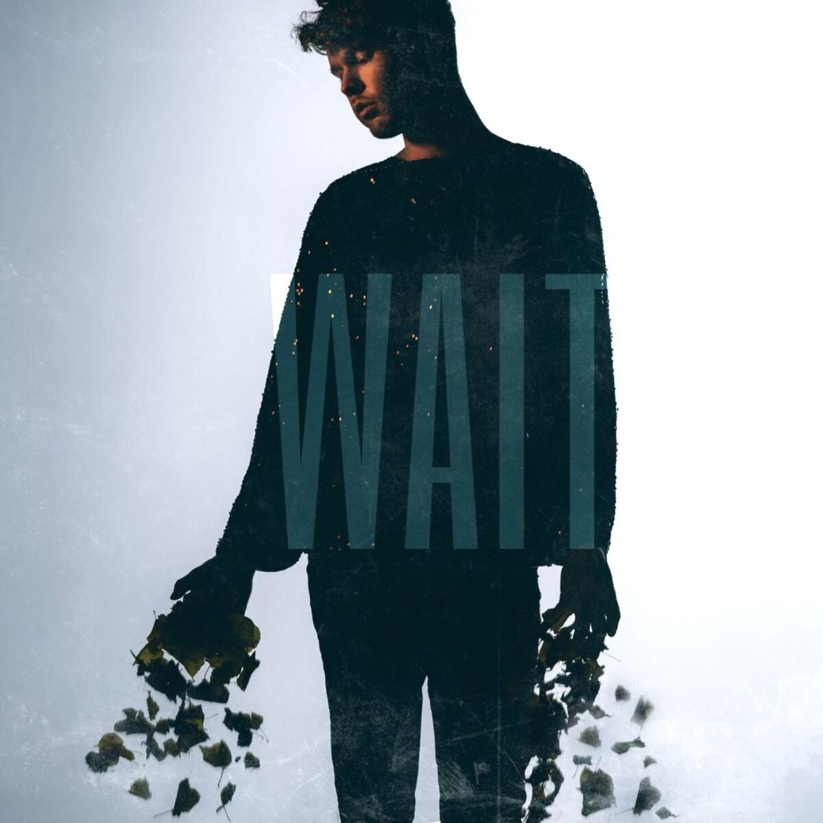 Album cover of Wait