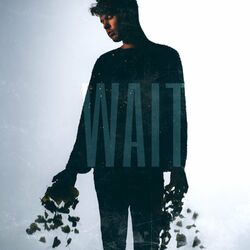 Cover of Wait