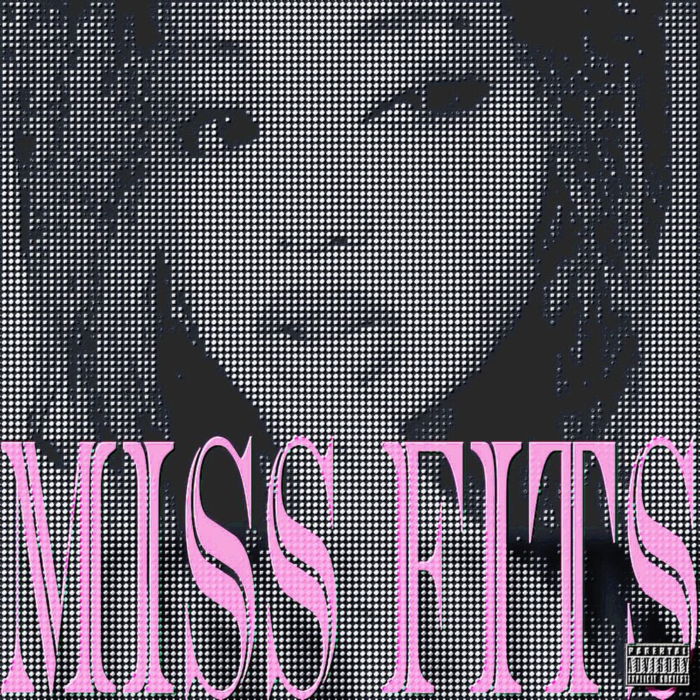 Picture of MiSS FiTS