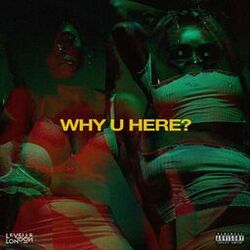 Cover of Why U Here?